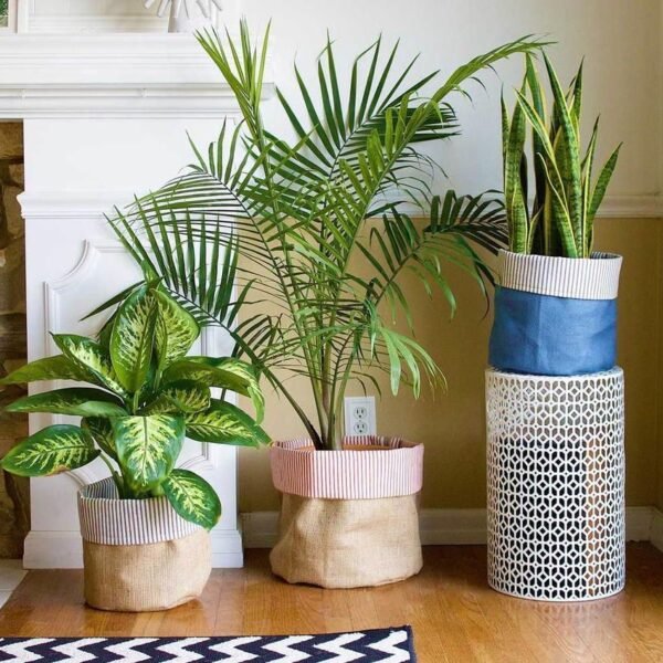 Planters To Make Your Home Feel Lively