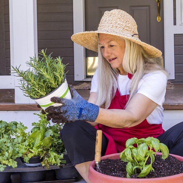 Caucasian woman planting seedling on front stoop