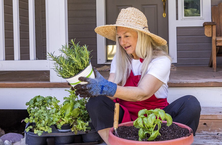 Caucasian woman planting seedling on front stoop