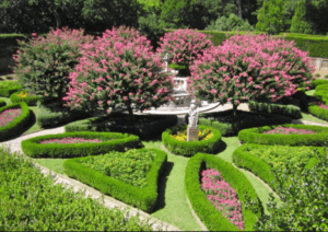 Complete Tree Surgeon Services for Safer, Healthier Outdoor Spaces