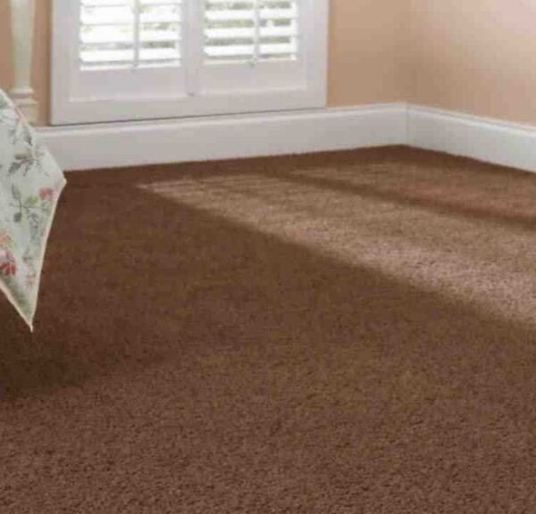 Wall to Wall Carpet
