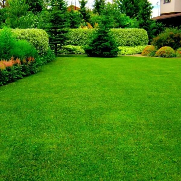 Artificial Grass Abu Dhabi