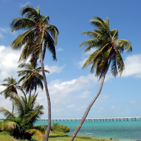 2021 Florida Keys Travel Guide For First-Time Visitors