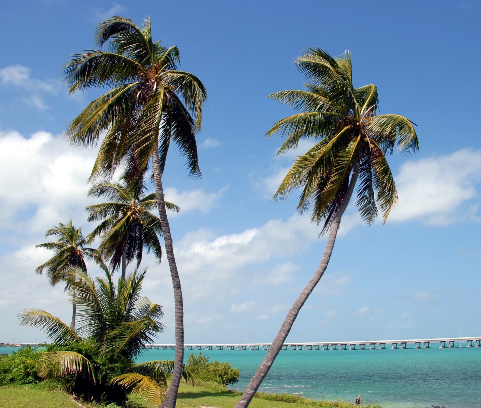 2021 Florida Keys Travel Guide For First-Time Visitors