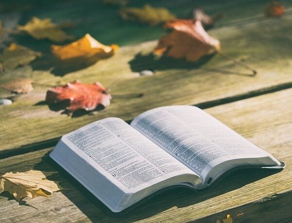 Bible Reading Plans