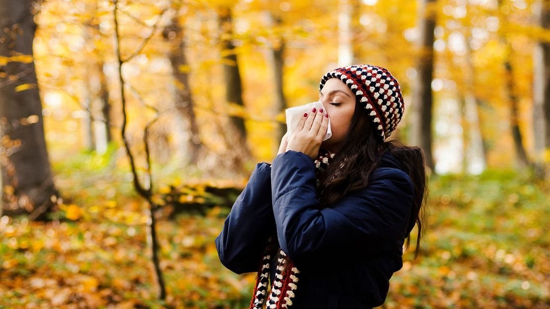 Fall and allergies