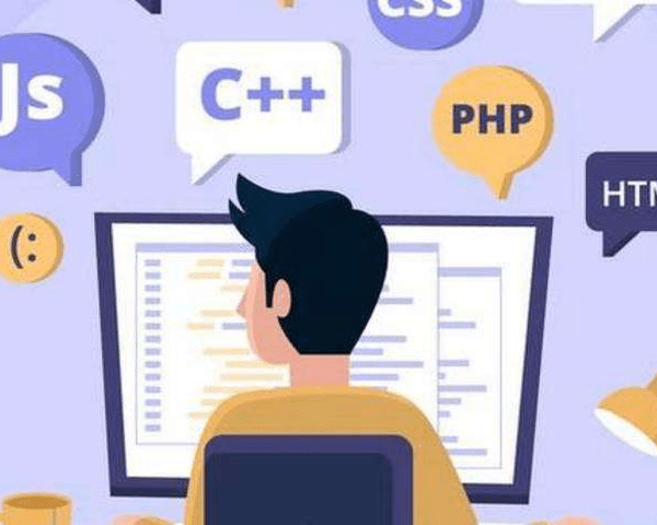 online programming academic expert