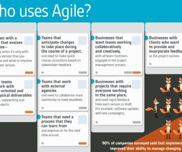 How to lead professionally a project team in an Agile way