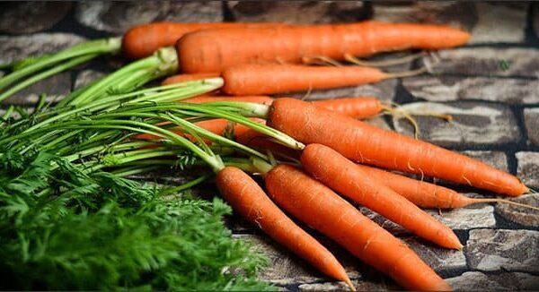 Why Are Carrots One Of The Healthiest Vegetables?