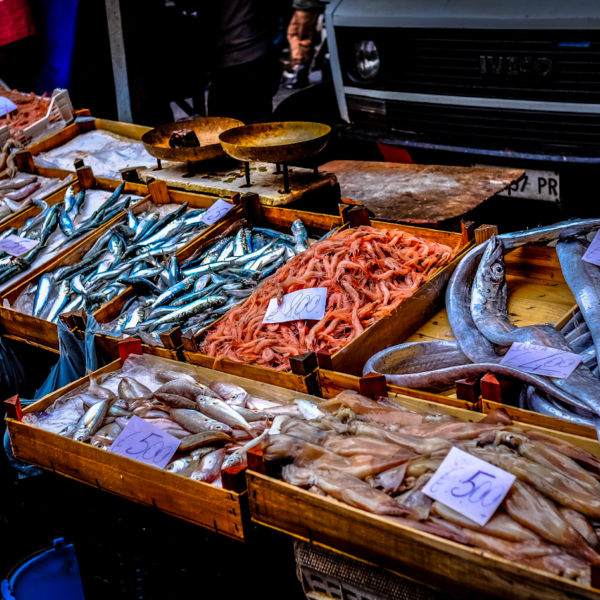 Everything You Need to Know About Fish Markets: What Happens, What to Bring