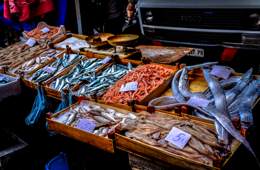 Everything You Need to Know About Fish Markets: What Happens, What to Bring