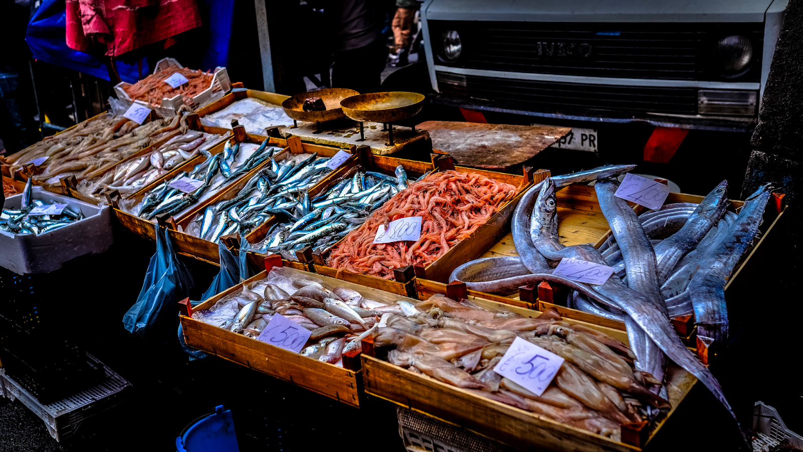 Everything You Need to Know About Fish Markets: What Happens, What to Bring