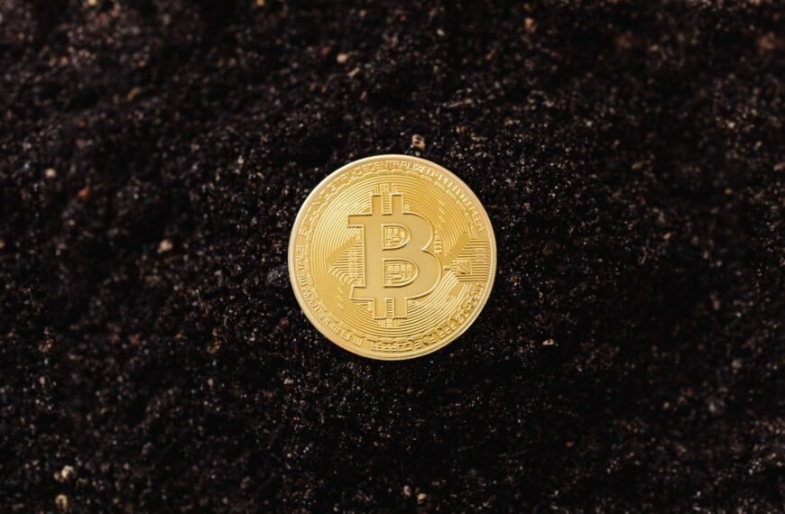 How To Protect Your Crypto Assets? 