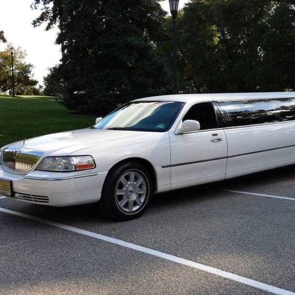 Why You Should Hire a Toronto Limo Rental Service