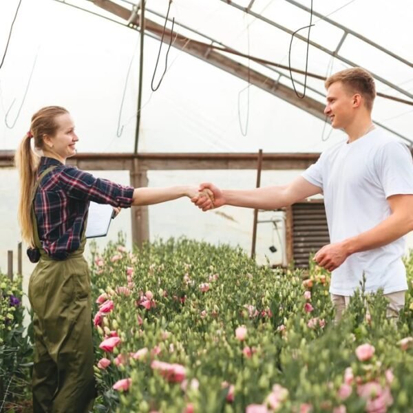 The Top 10 Ways to Grow Your Business