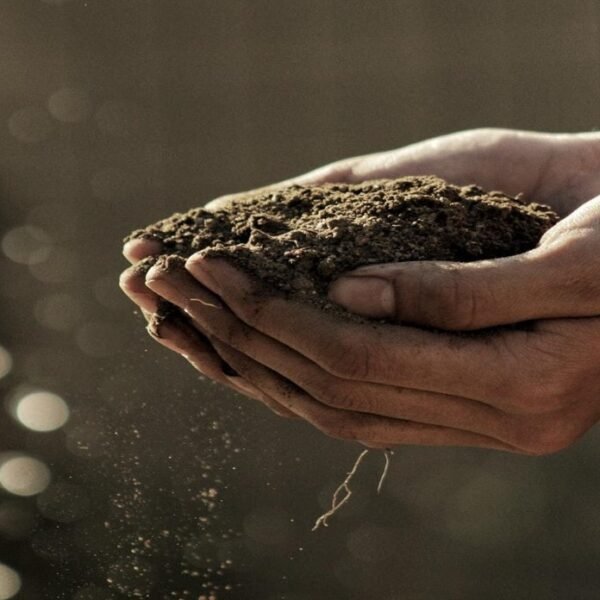 gardening business