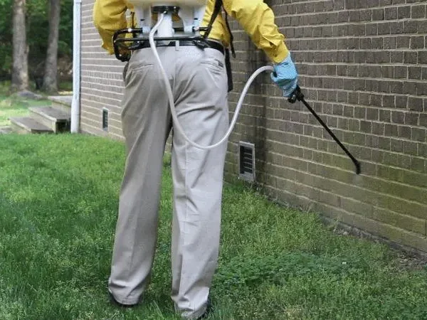 Wasp control south dakota