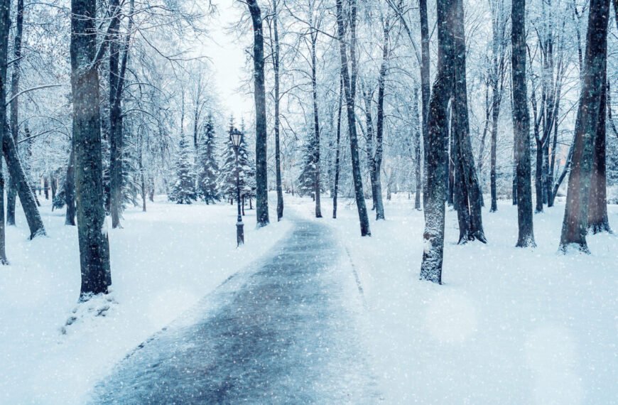 contact your local roofer