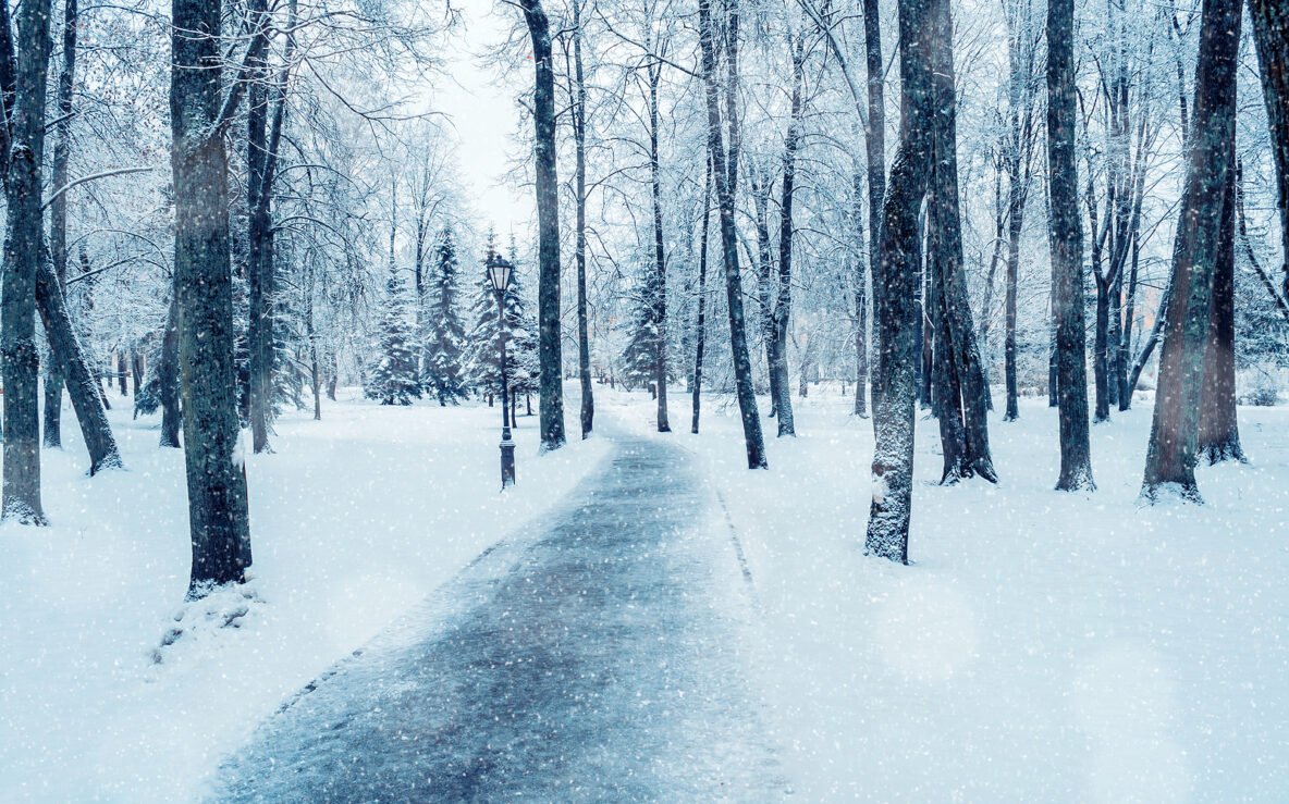 contact your local roofer