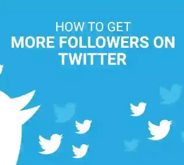 real twitter followers