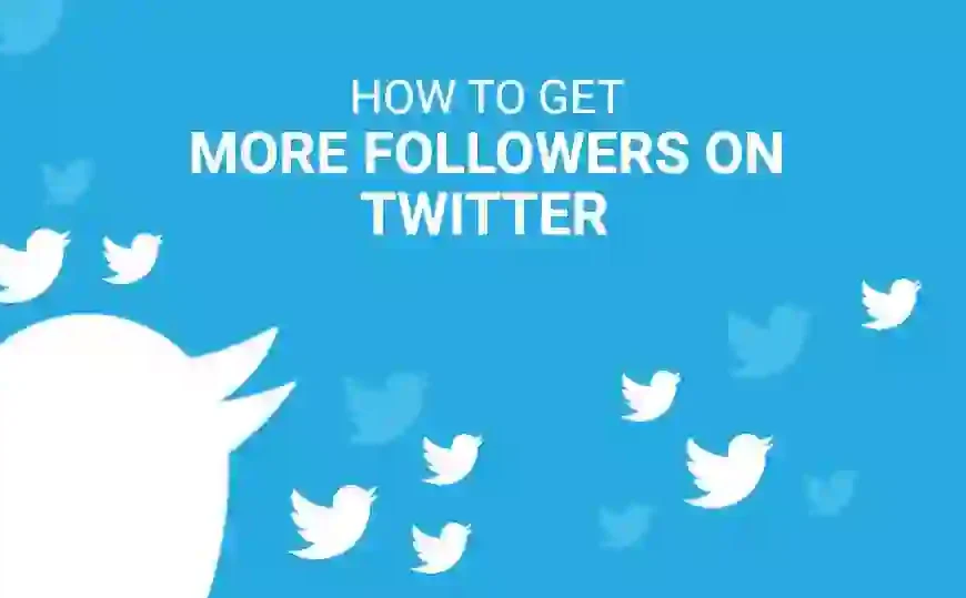 real twitter followers