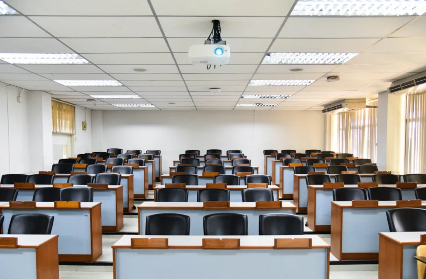 Zoom immersive view backgrounds