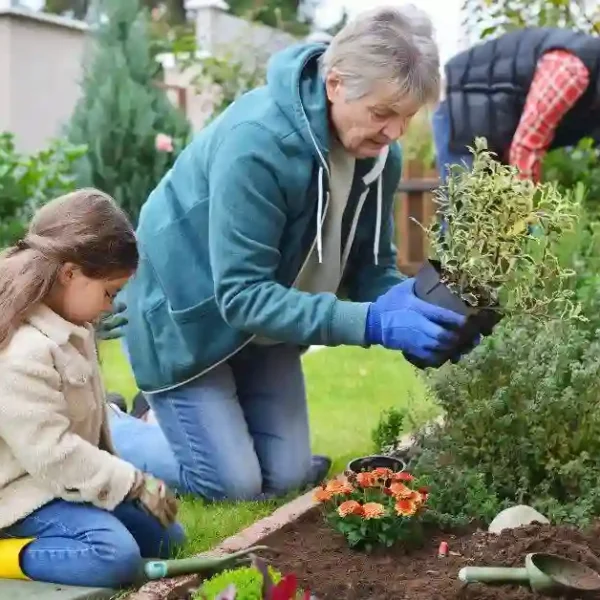 arbor garden solutions discount code