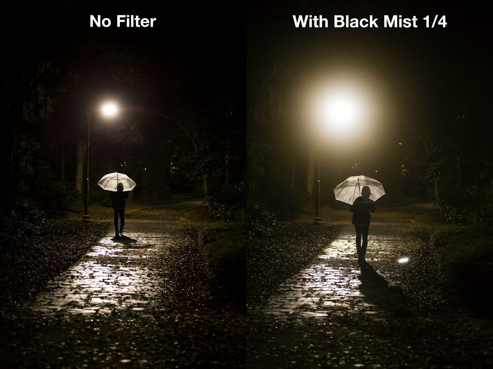 mist filter