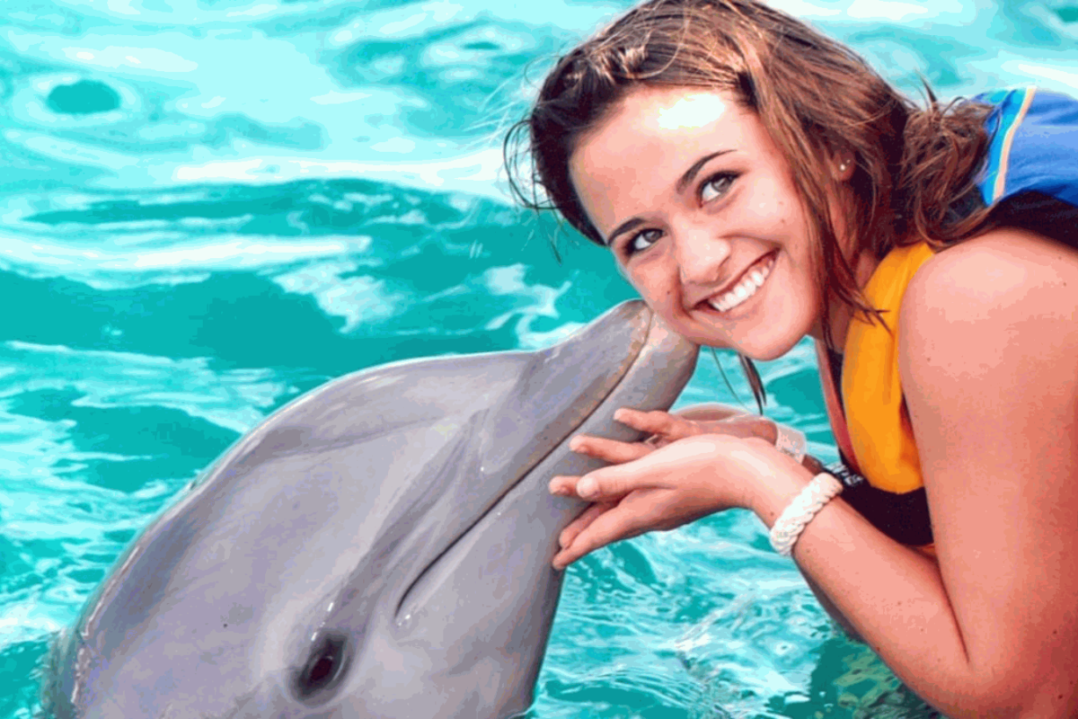 why-are-dolphins-so-friendly