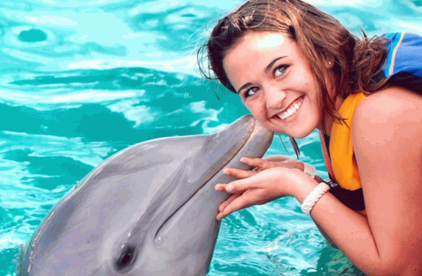 Why Are Dolphins So Friendly