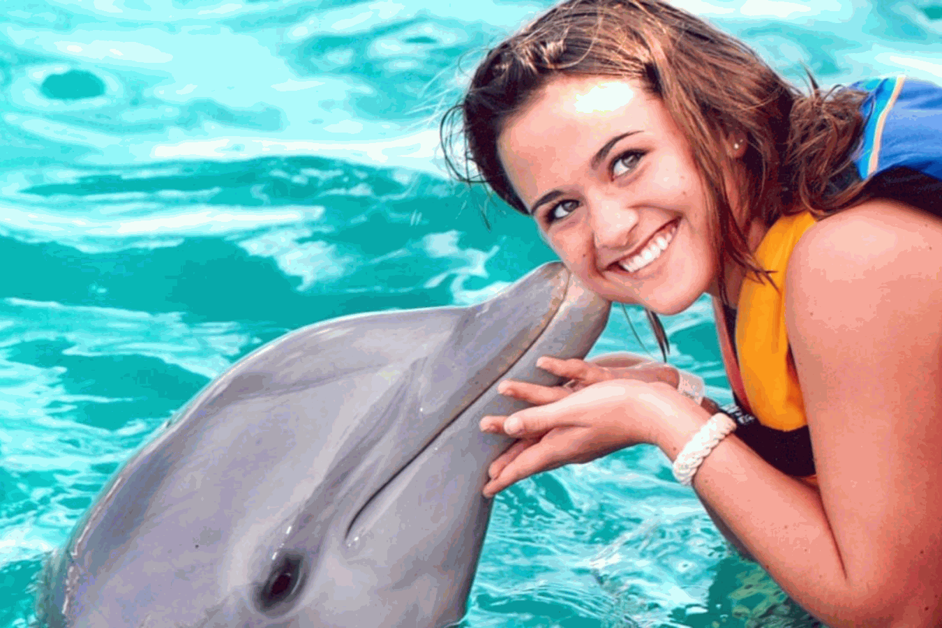 Why Are Dolphins So Friendly