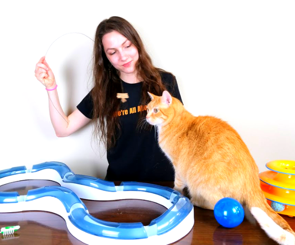 Best cat toys for indoor cats