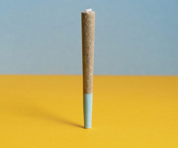 What Are the Best CBD Pre-Rolls & How Long Does It Last?