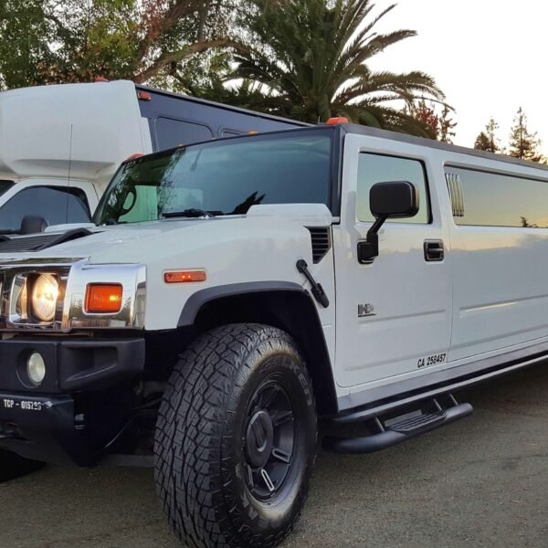 How Do I Pick the Best Chicago Limousine Service Provider?