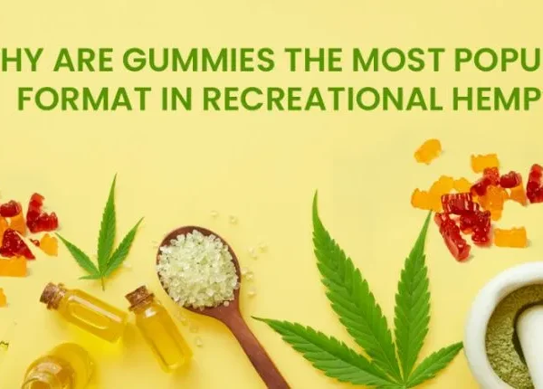 Why are gummies the most popular format in recreational hemp?