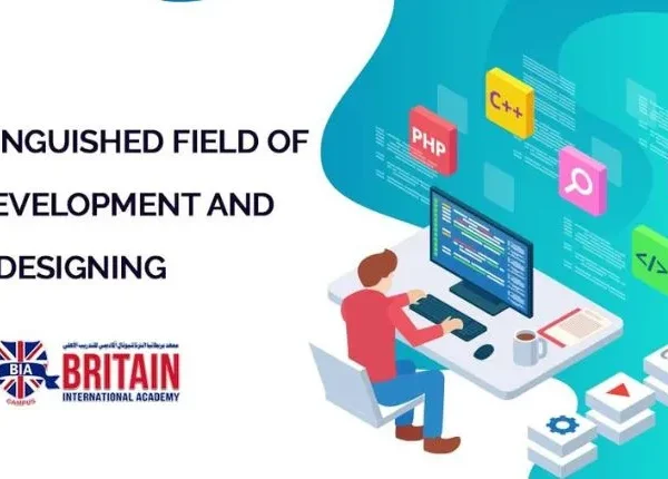 How to Web Design and Web Development Kuwait