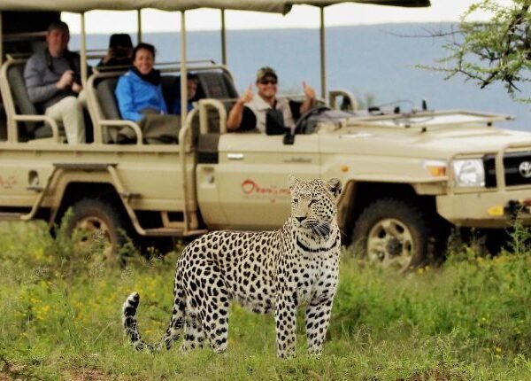 African Safari Tours
