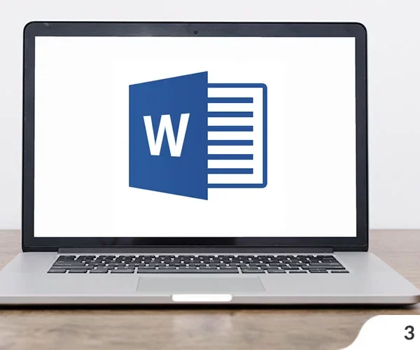 Everything you need to know about MS Word