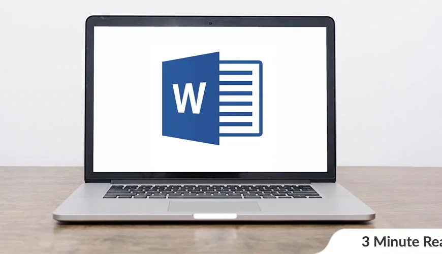 Everything you need to know about MS Word