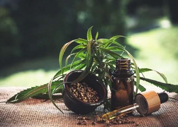 Cannabis Ruderalis: Rugged Weed With A Hidden Talent