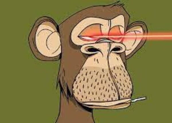 What Is An NFT Monkey?