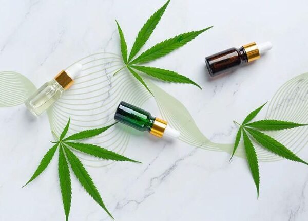 CBD Vape Bulgaria – The Best Way To Feel The Effects Of CBD