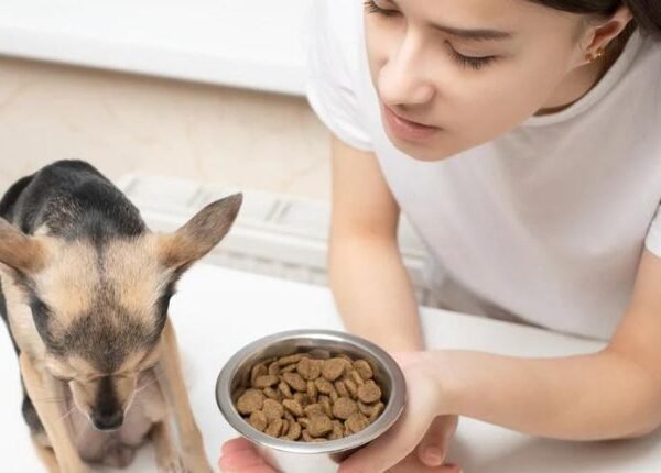 Feeding Your Picky Eater: Tips and Tricks for Puppy Mealtime Success