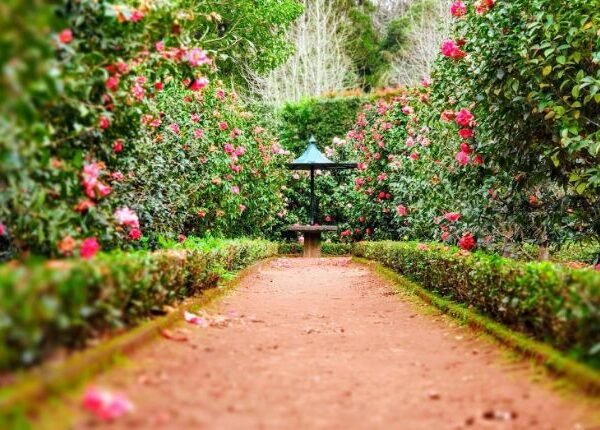 Garden decor: More than just aesthetically pleasing