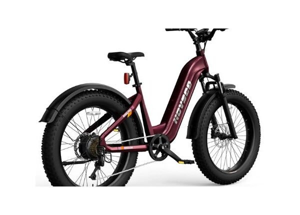 Know About Hovsco HovCart Cargo Review