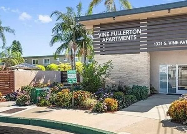 How To Choose A Tree Service In Santa Ana