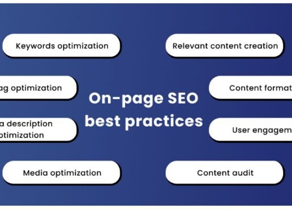 The Importance Of Family Law SEO