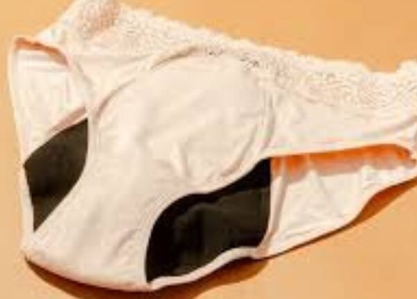 Unveiling the Science Behind Period Underwear: How Does it Work?