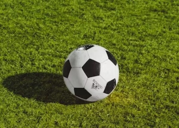 Biggest Mistakes Flag Football Coaches Make with Playbooks