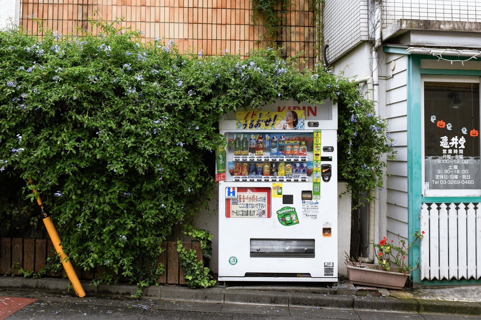 vending machines